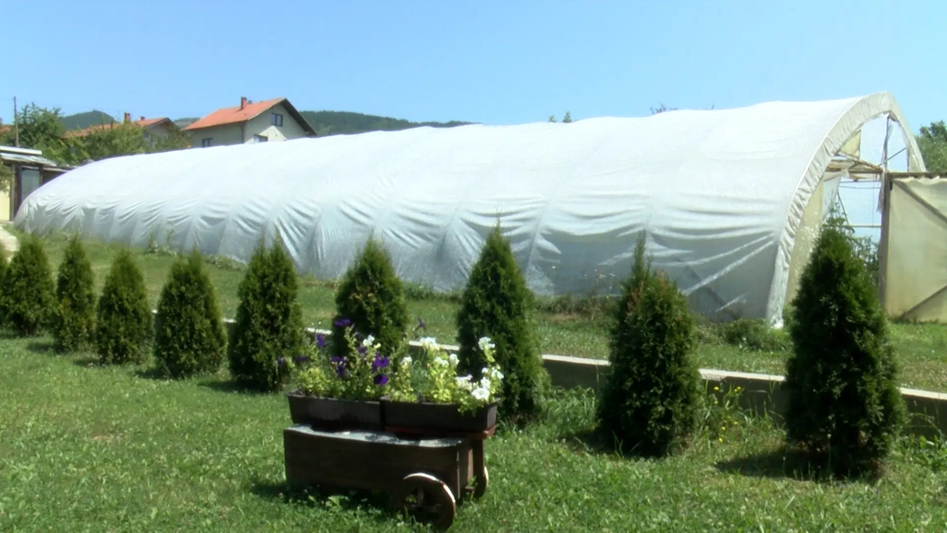 1690006246_VISOKE-TEMPERATURE-MOGU-NASTETITI-POVRCU-U-PLASTENICIMA.jpg