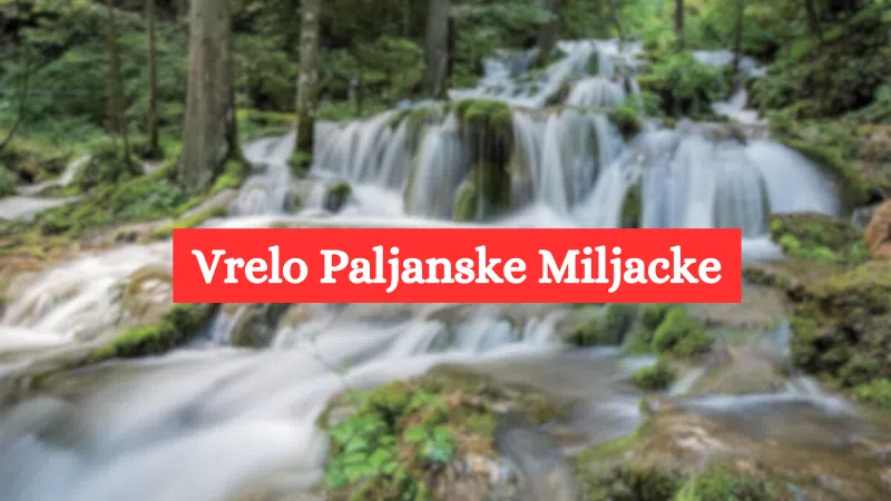 Vrelo-Paljanske-Miljacke
