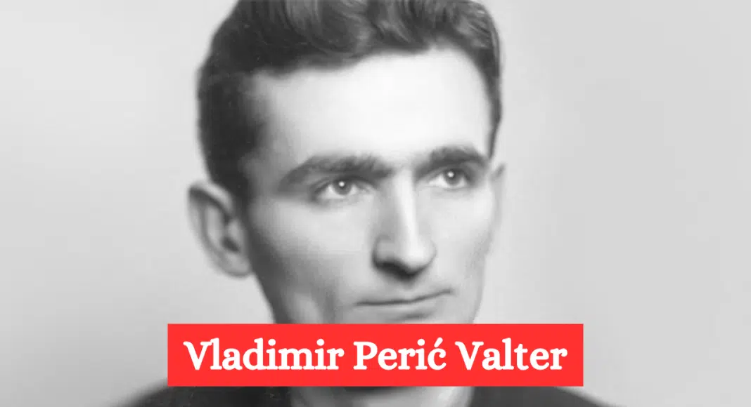 Vladimir Perić Valter