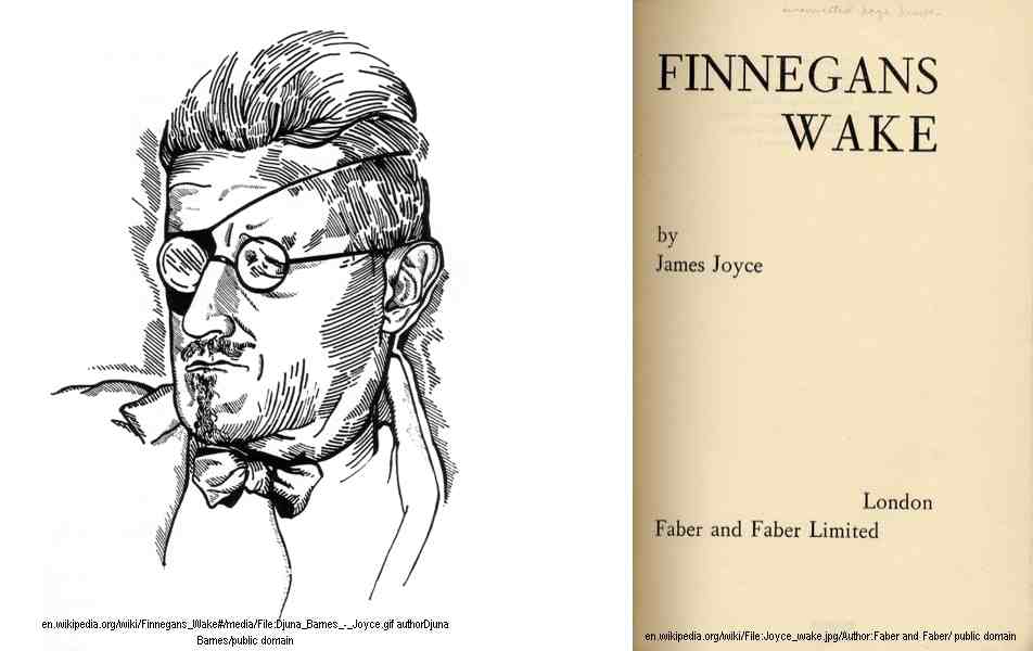   Finneganovo bdjenje