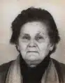 husovic-vezira.jpg