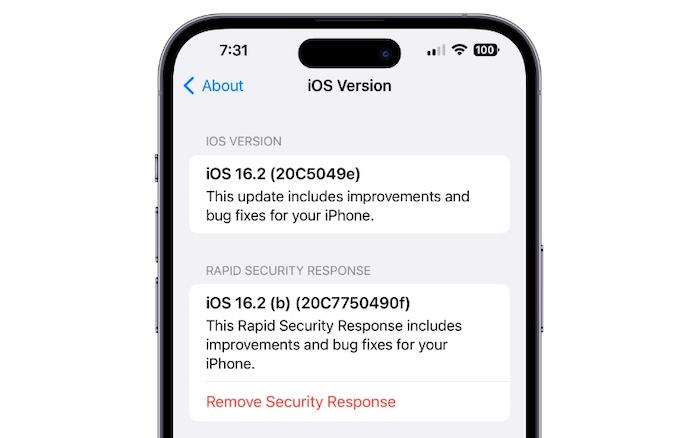 Šta su ažuriranja Rapid Security Response? (i kako ih omogućiti) šta su ažuriranja rapid security response? (i kako ih omogućiti)