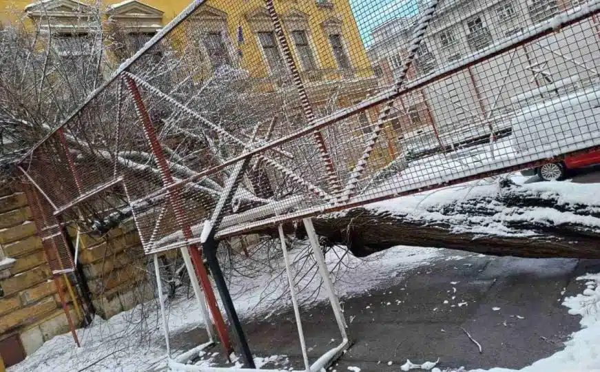 Snijeg u Sarajevu: Stablo se srušilo u dvorište škole u