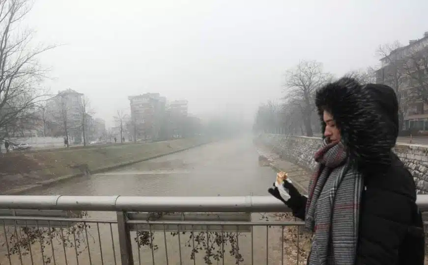 Vlada proglasila