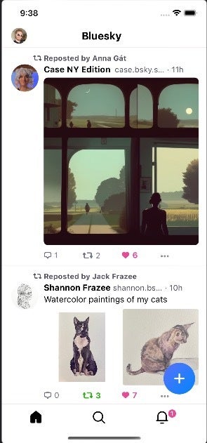 2 6