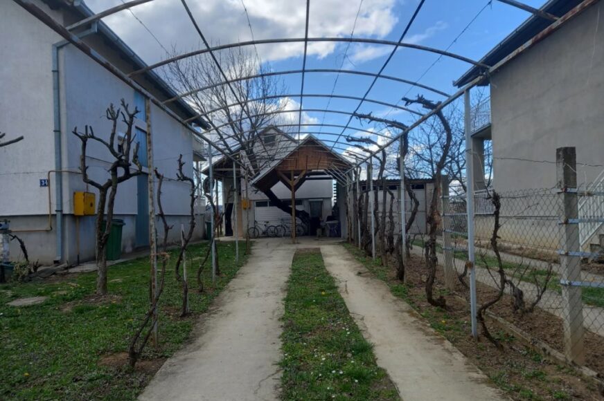 OTROVALI DJECU, PA SE UBILI DRŽEĆI SE ZA RUKE: MLADI