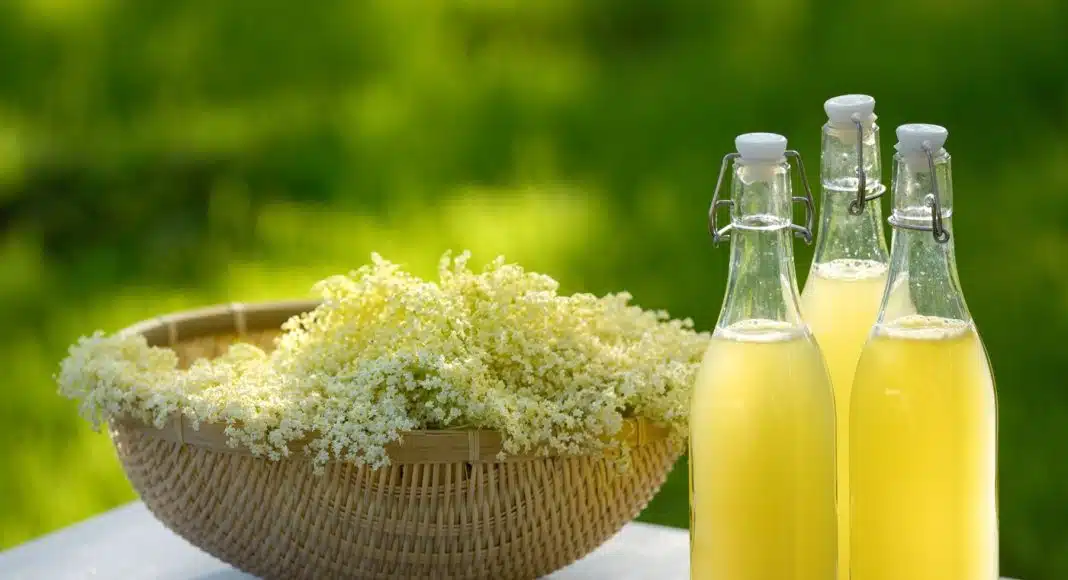 Sok od grejpa, recept koji vas vraća u djetinjstvo