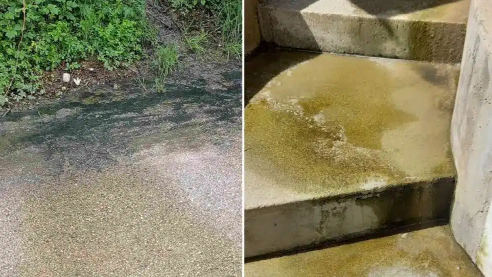 Uvečer roj komaraca, tokom dana mušice: Kanalizacija teče ulicama Hrasnog