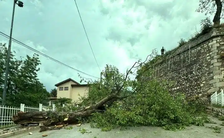 Drvo s Žute tabije palo zbog olujnog nevremena u Sarajevu