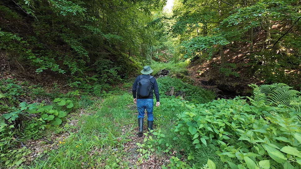 Kralj-borovnica-sa-grebenom-skuplja-100-kilograma-dragocjenog-sumskog-voca.jpg
