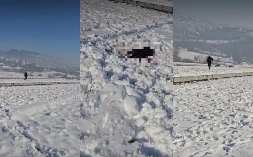 Pitali smo MUP KS: Da li će vlasnik koji je