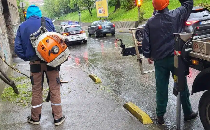 Dvije hitne intervencije: Radnici 'Parka' brzo reagovali i uklonili stabla