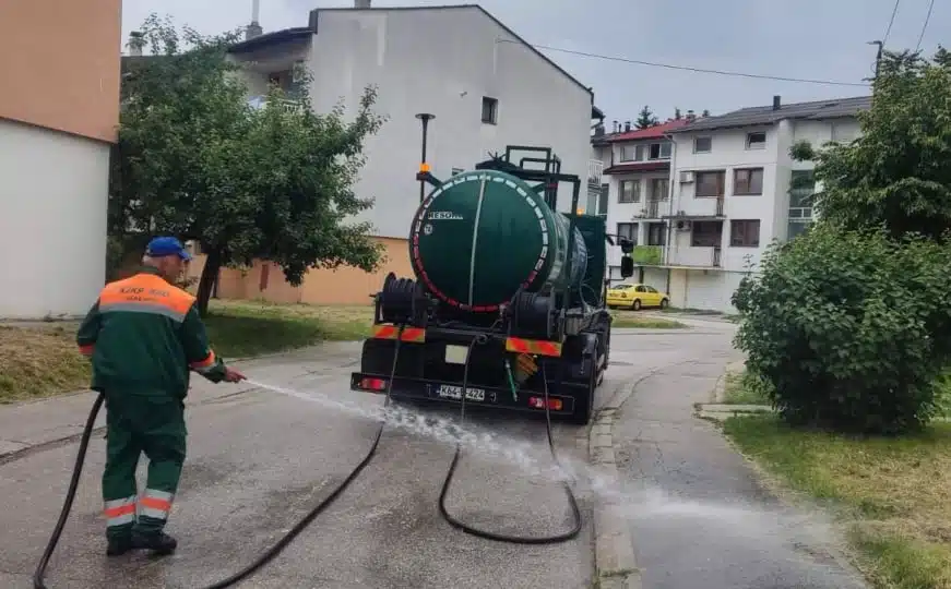 Slučaj mrtvog pacova ispred zgrade u Sarajevu: Kontaktirali smo KJKP