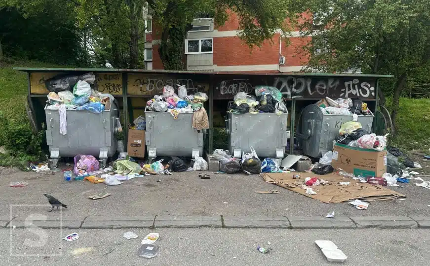 Smrad, smeće i bolest: Građani u strahu - pogledajte alarmantne