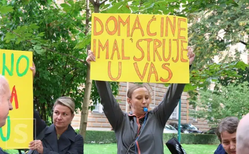 Vlada KS suočena s kritikama: Udruženje Colibri održalo protest uz