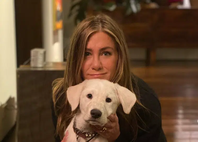Jennifer Aniston otkrila zašto nikada nije usvojila dijete: “Sebično ili