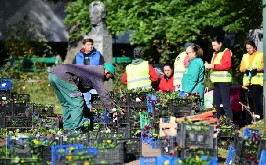 Pripreme za zimsku sezonu u Sarajevu: Uređuju se travnate površine