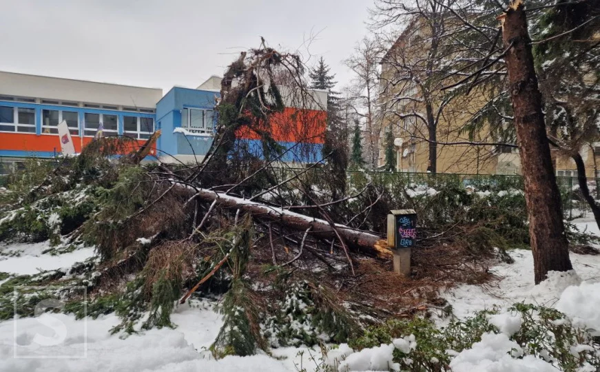 Izbjegnuta tragedija u Sarajevu: Ispred osnovne škole na Grbavici srušilo