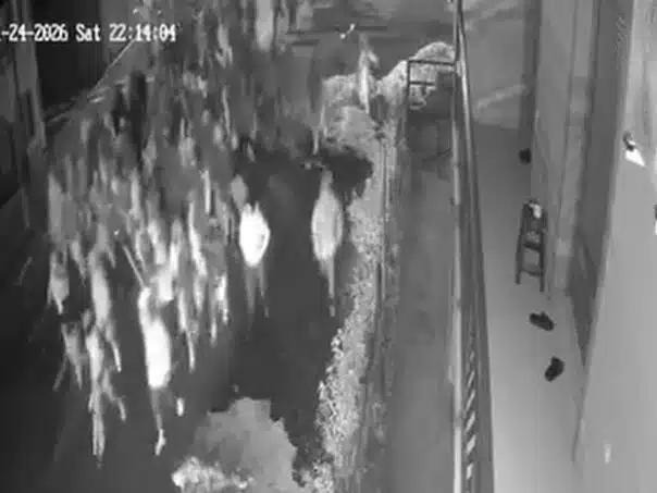 Pojavio se video tučnjava navijača u Tuzli: Deseci maskiranih huligana