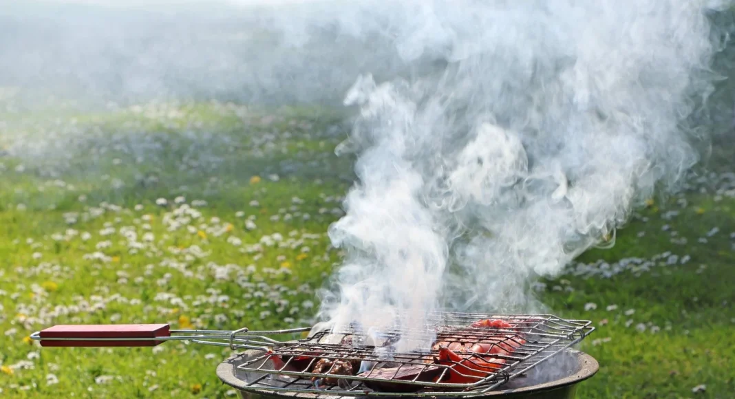 Prvosvibanjski roštilj: Vodič za savršeno meso svaki put, marinade i