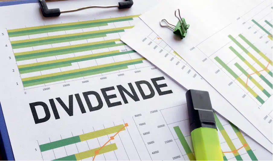 Dividendna politika odvraća male ulagače od dionica - Business Magazine